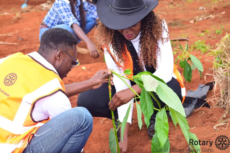 Members planting a tree seedling